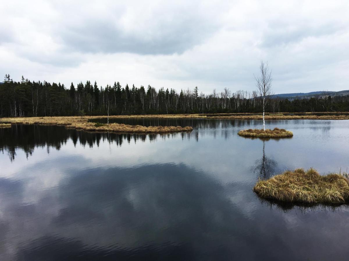 Apartmány Stožec - Bella Premium Exteriér fotografie